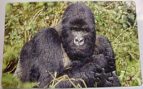 Puzzle- gorila
