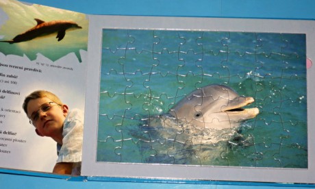 Puzzle- delfín