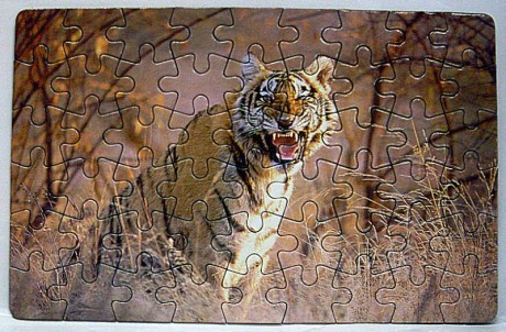 Puzzle- tygr