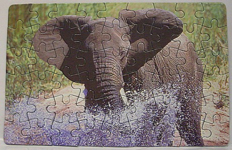 Puzzle- slon